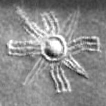 Winged Disk of Sumeria