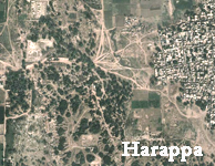 Harrapa